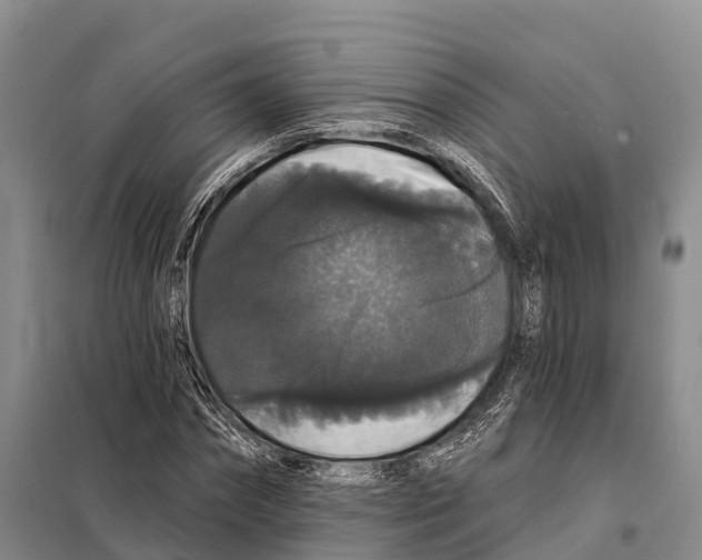 X0000098010874200804251112