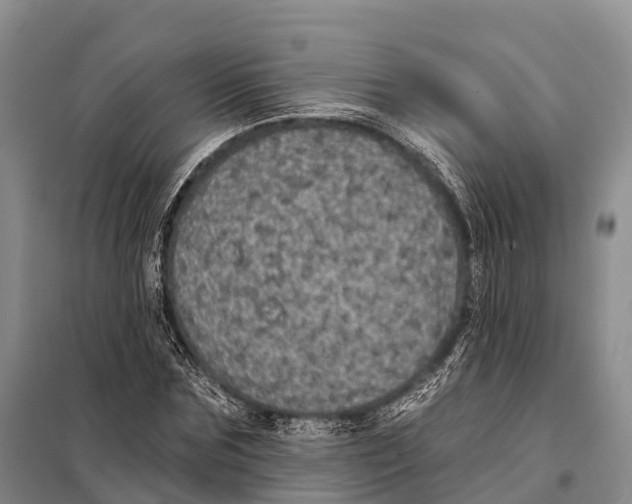 X0000098010875200804251112