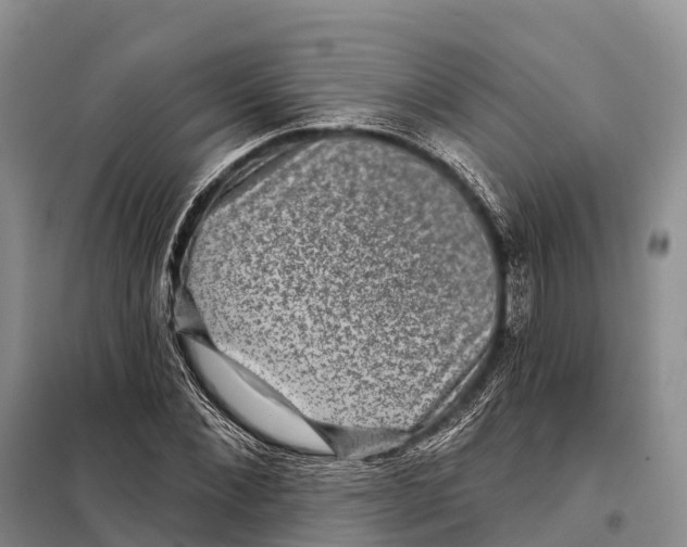 X0000098010876200804251112