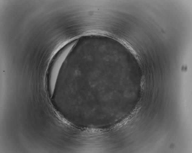 X0000098010877200804251112