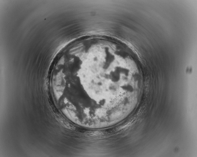 X0000098010879200804251112