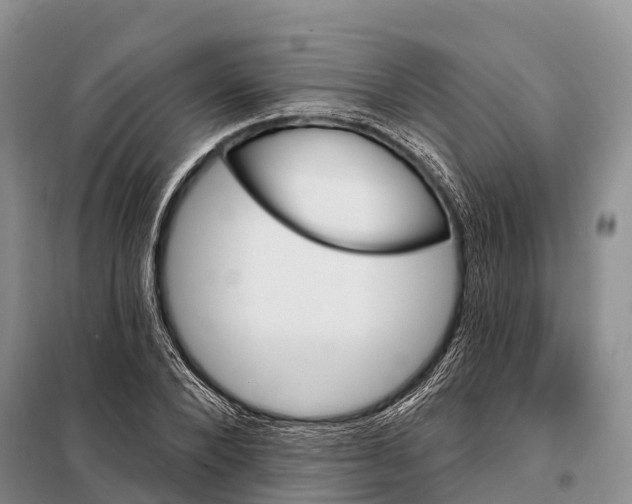 X0000098010880200804251112