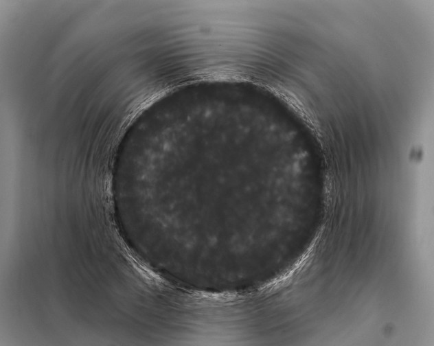 X0000098010881200804251112