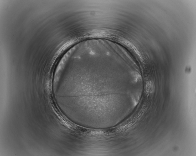 X0000098010882200804251112