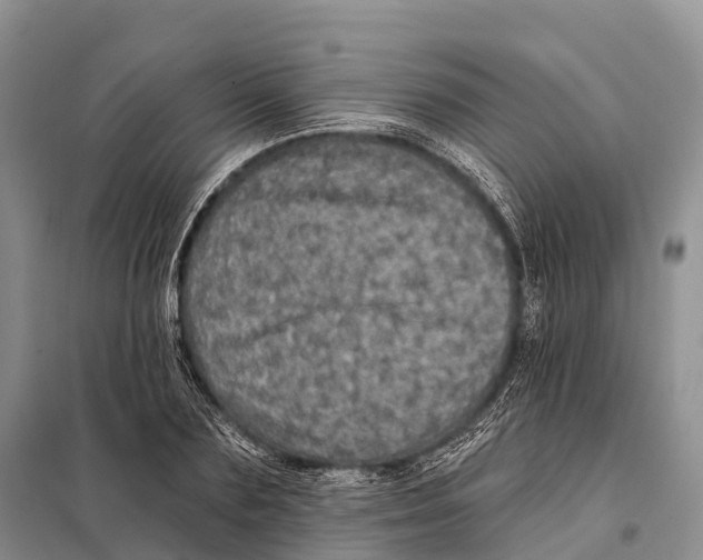 X0000098010883200804251112