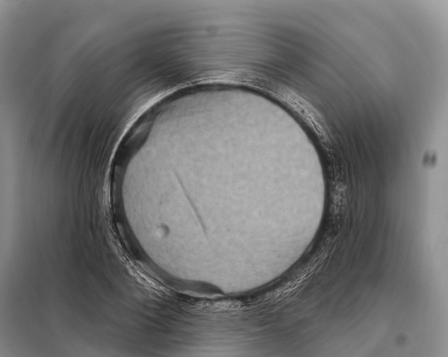 X0000098010884200804251112