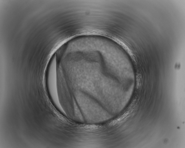 X0000098010885200804251112