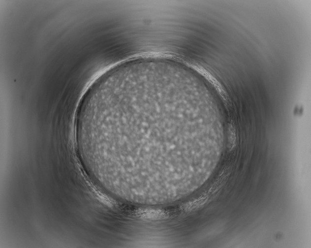 X0000098010886200804251112