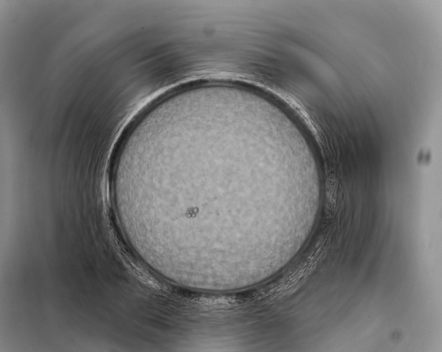 X0000098010887200804251112