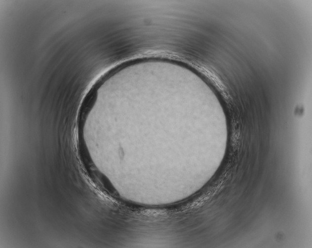 X0000098010888200804251112