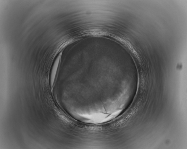 X0000098010889200804251112