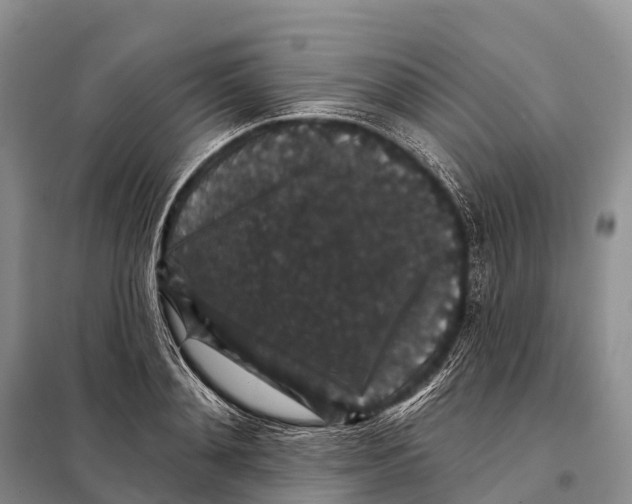 X0000098010892200804251112