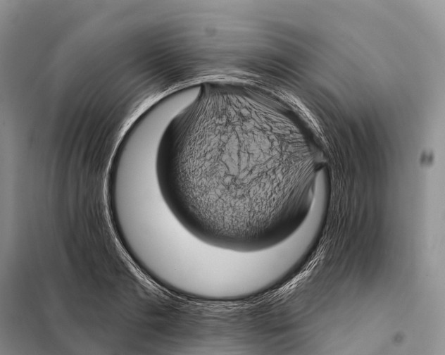 X0000098010893200804251112