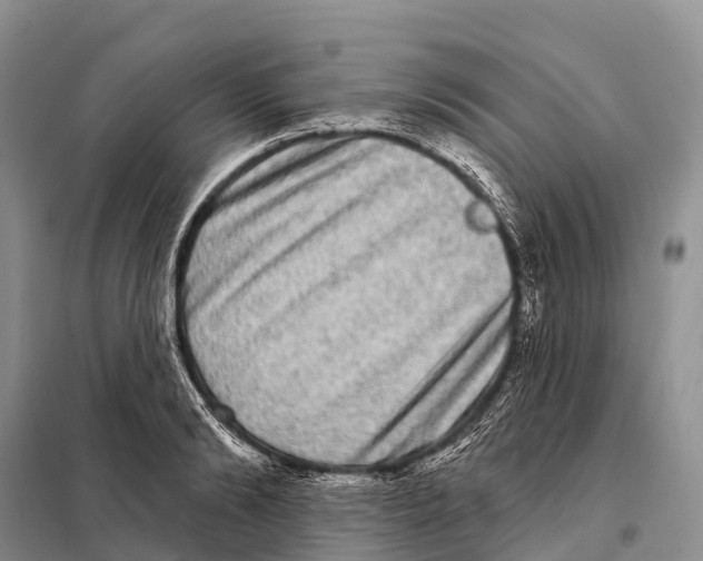 X0000098010894200804251112