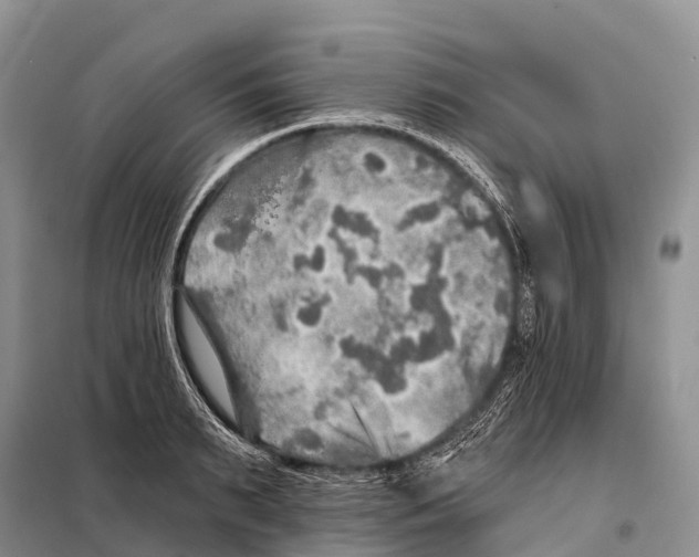 X0000098010895200804251112