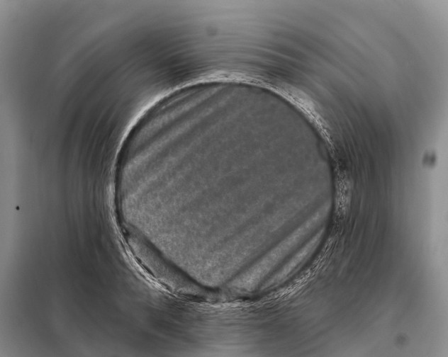 X0000098010896200804251112