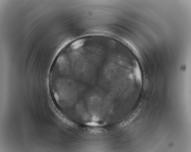 X0000098010899200804251112