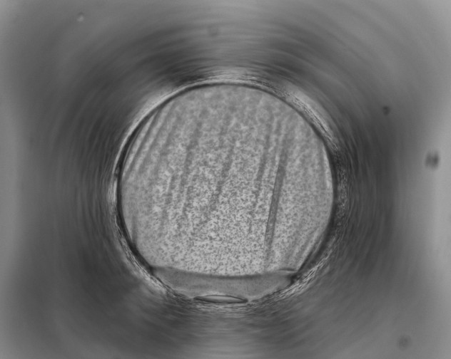 X0000098010900200804251112