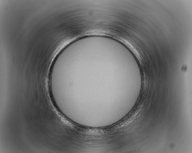 X0000098010901200804251112