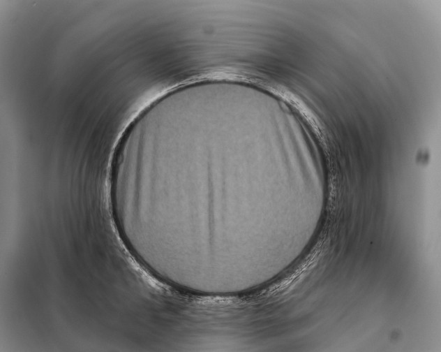 X0000098010902200804251111