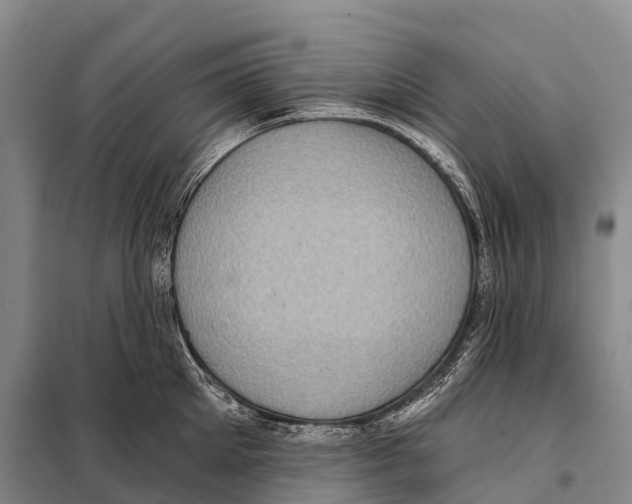 X0000098010905200804251111