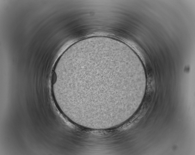 X0000098010906200804251111