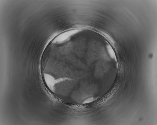 X0000098010907200804251111