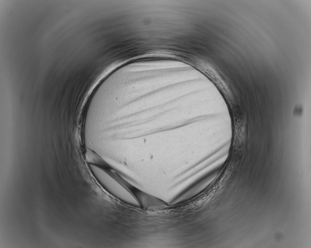 X0000098010908200804251111