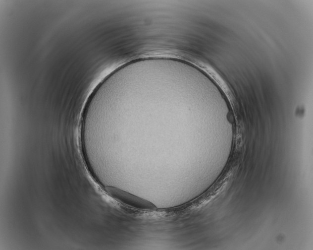 X0000098010909200804251111