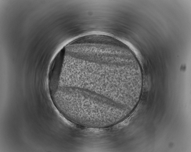 X0000098010910200804251111