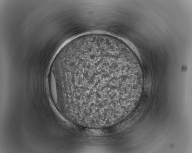 X0000098010911200804251111