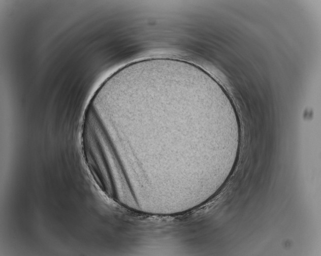 X0000098010912200804251111