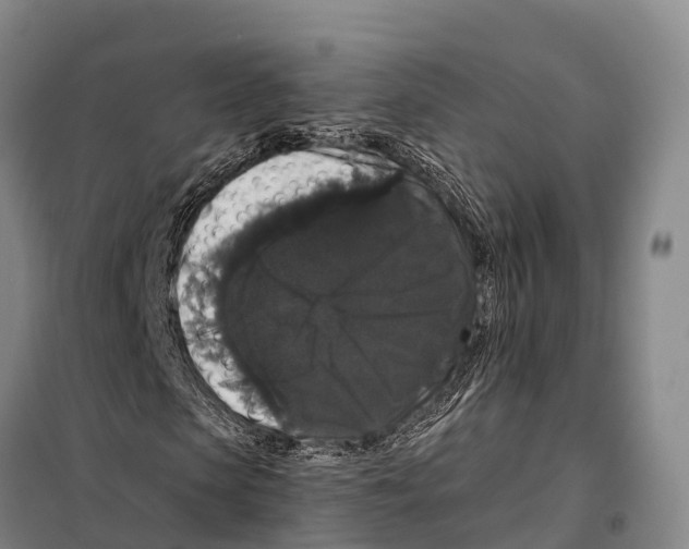 X0000098010913200804251111