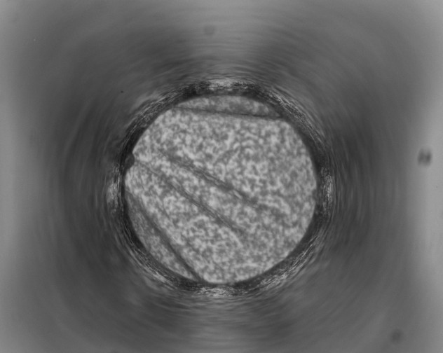 X0000098010914200804251111