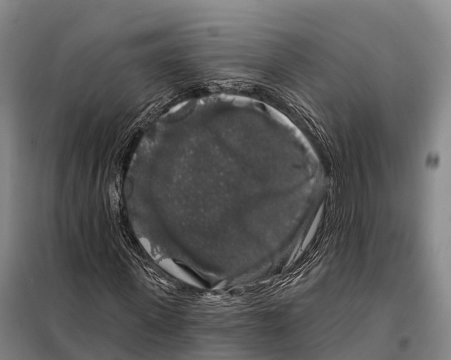 X0000098010915200804251111