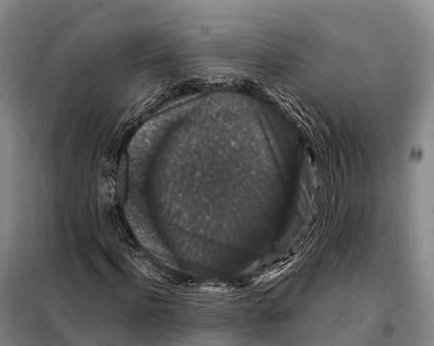 X0000098010916200804251111