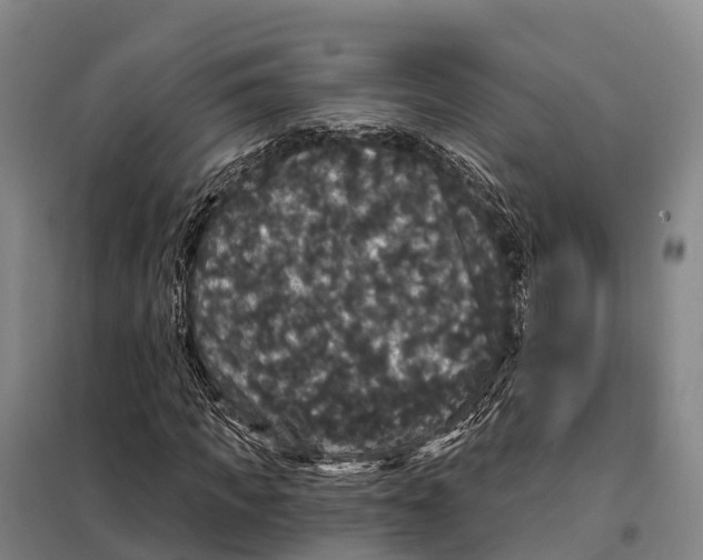 X0000098010917200804251111