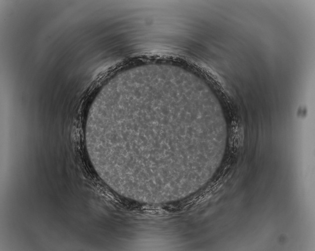 X0000098010918200804251111