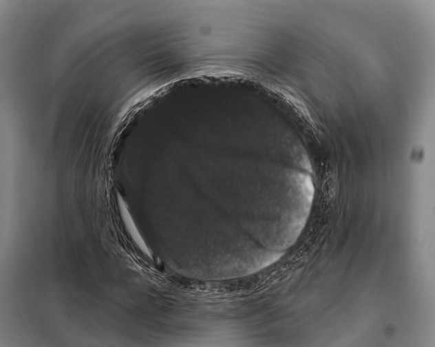 X0000098010920200804251111