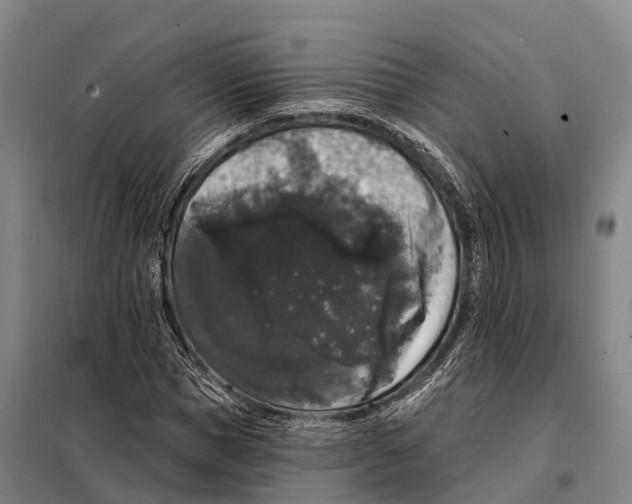 X0000098010921200804251111