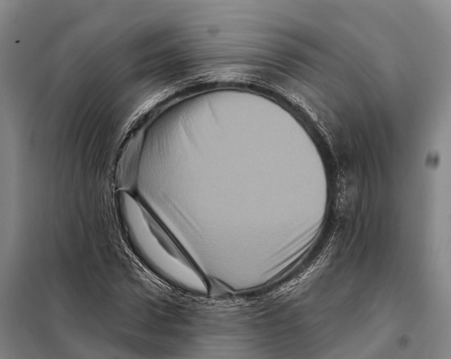 X0000098010922200804251111