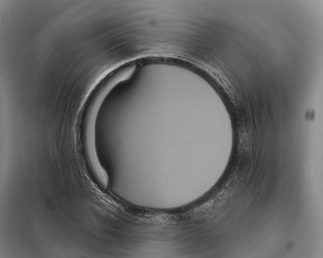 X0000098010926200804251111