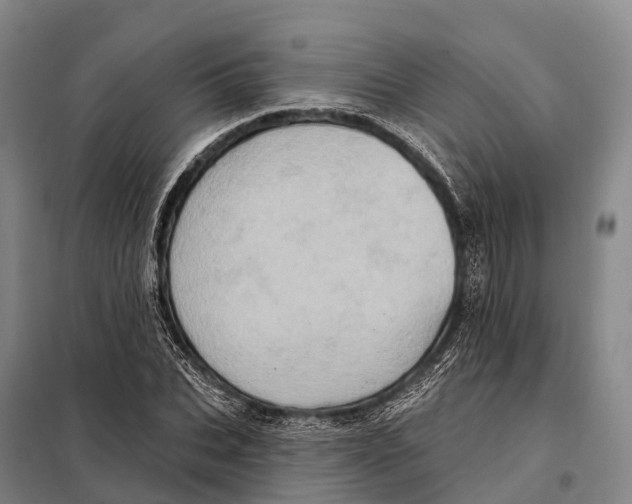 X0000098010927200804251111