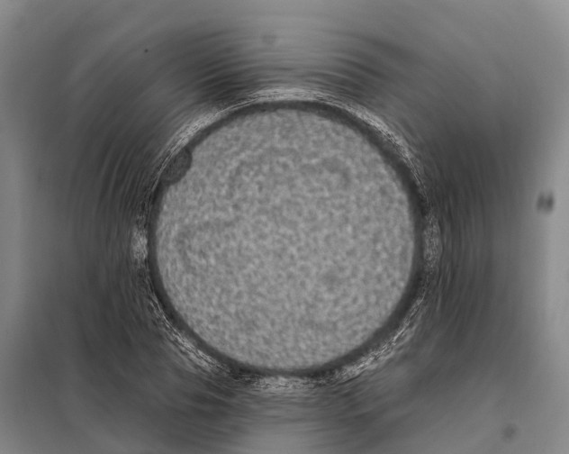 X0000098010929200804251111