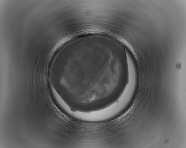 X0000098010930200804251111