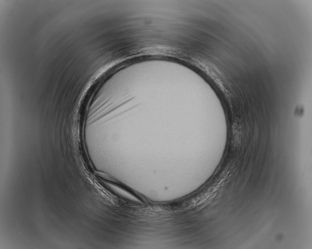 X0000098010931200804251111