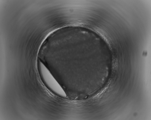 X0000098010932200804251111