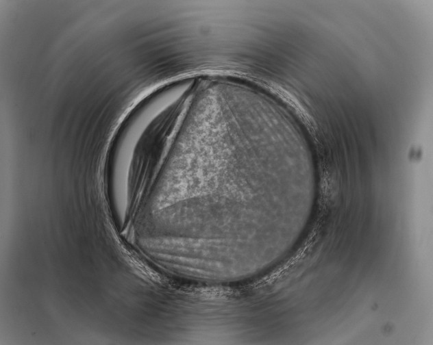 X0000098010934200804251111