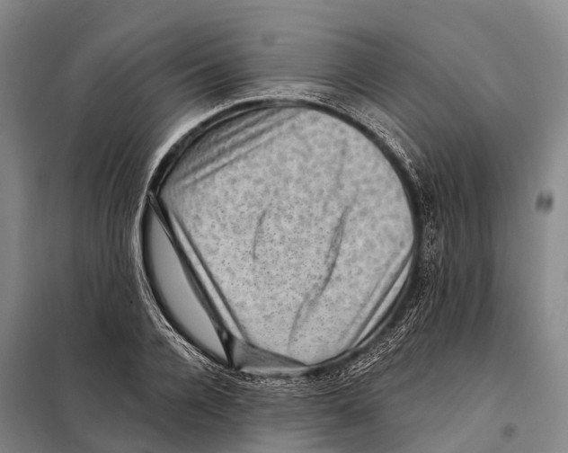 X0000098010936200804251111