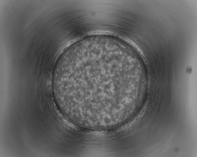 X0000098010937200804251111